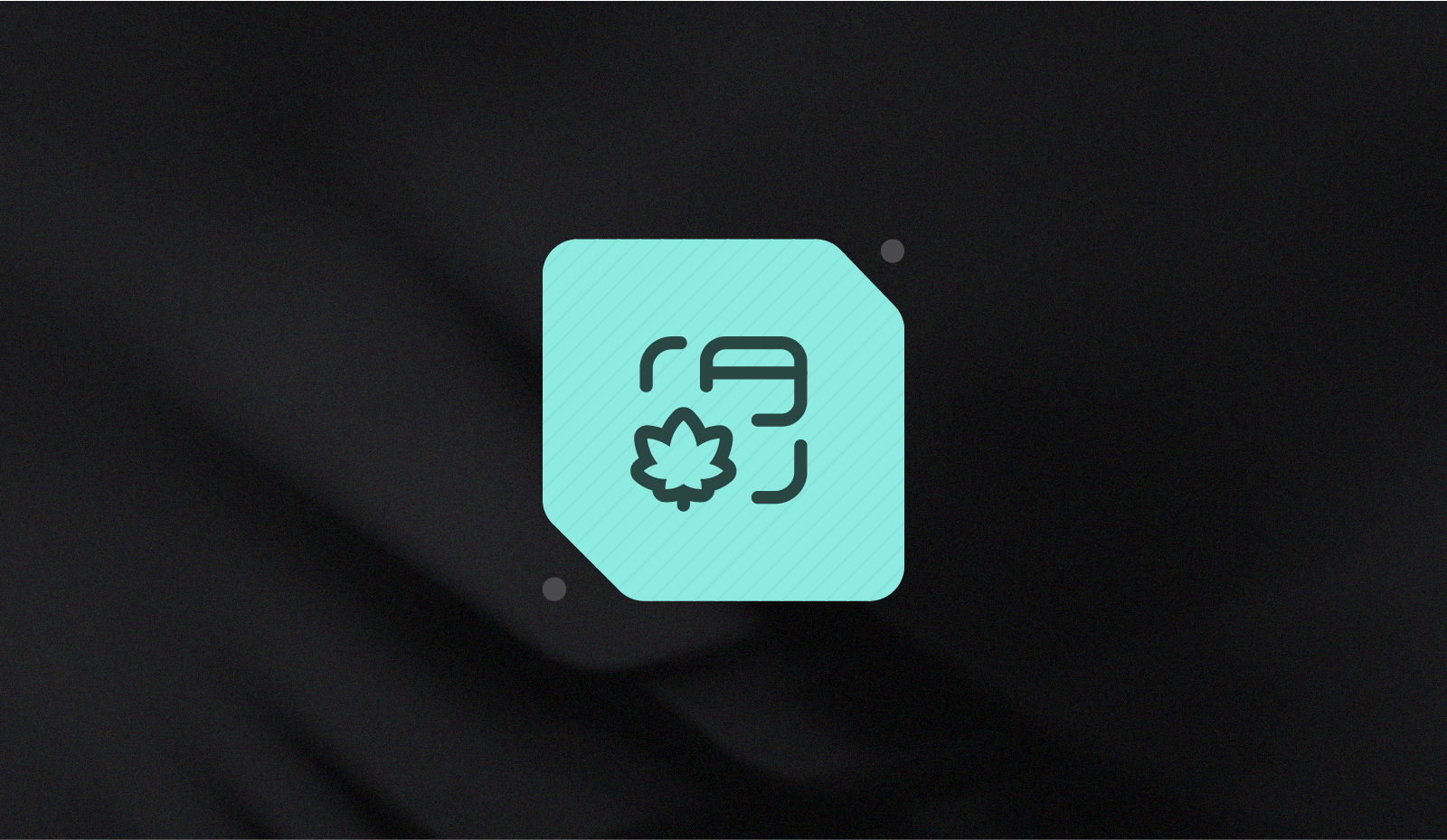 Cannabis, CBD, Cashless ATMs and other high risk merchant payments