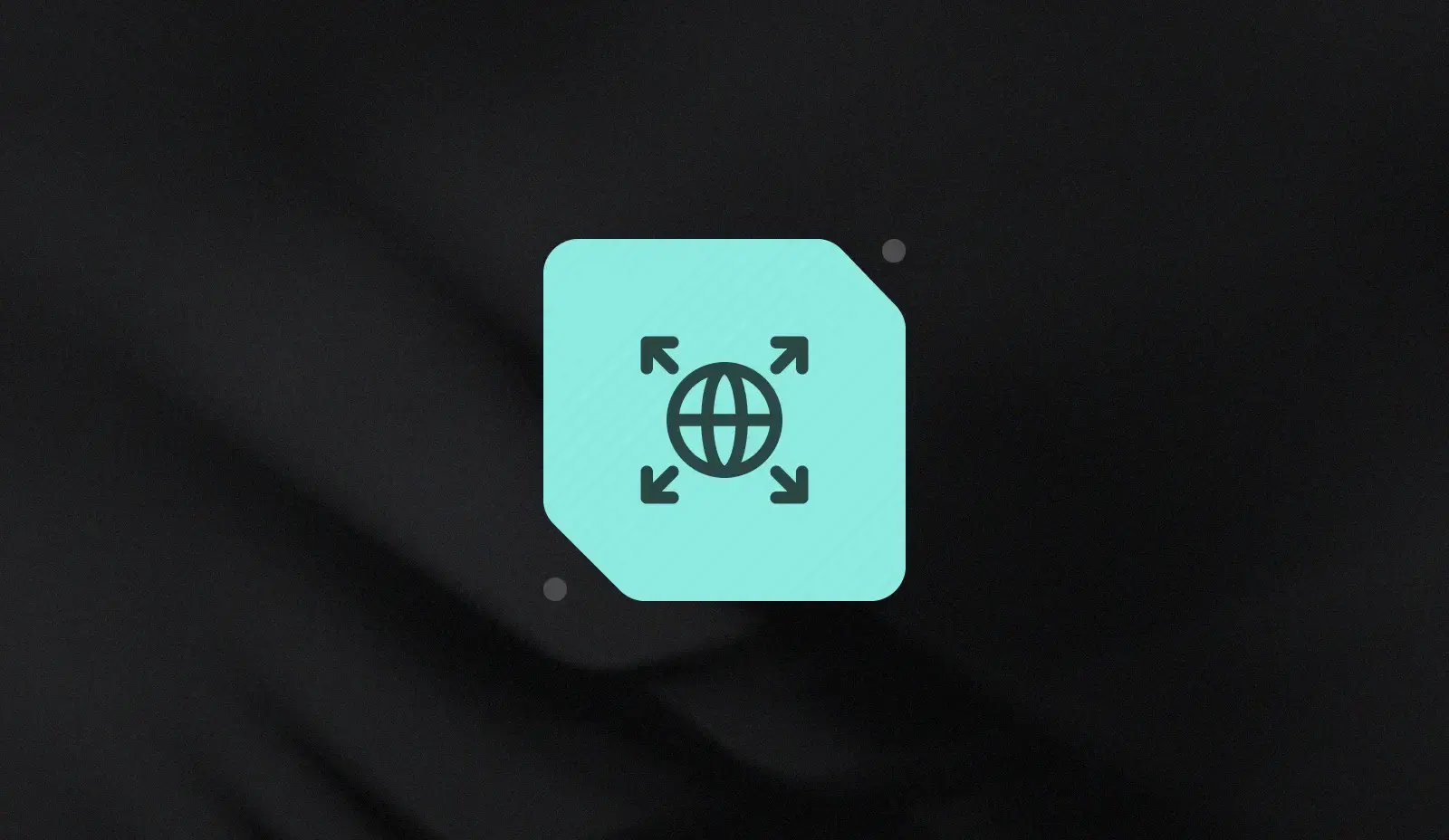 Geographic Expansion