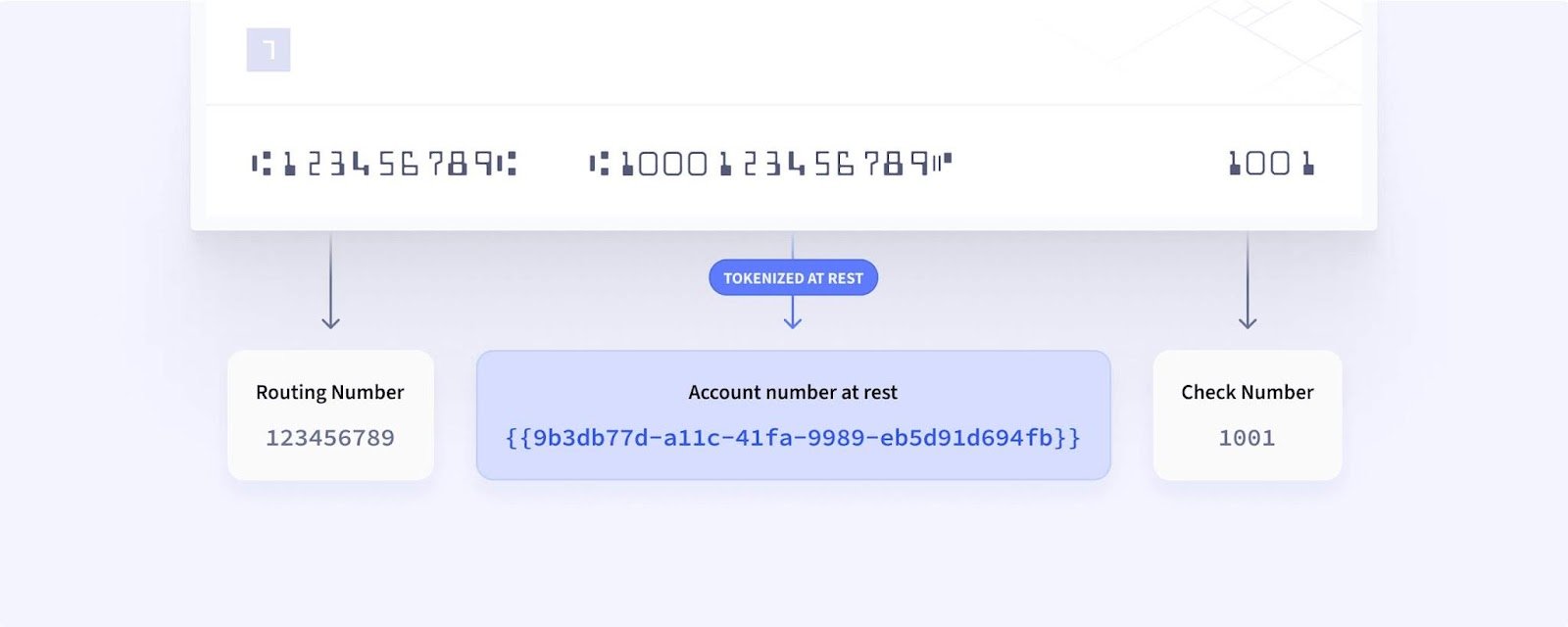 anatomy of a tokenized ACH bank account and routing number