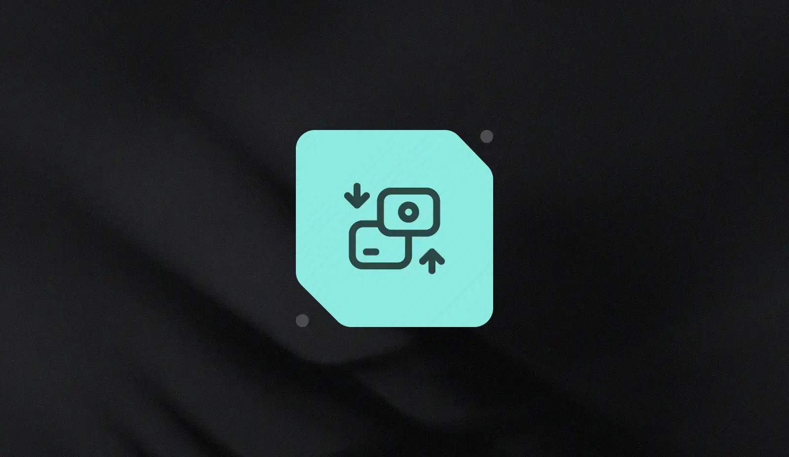 Network Transaction IDs