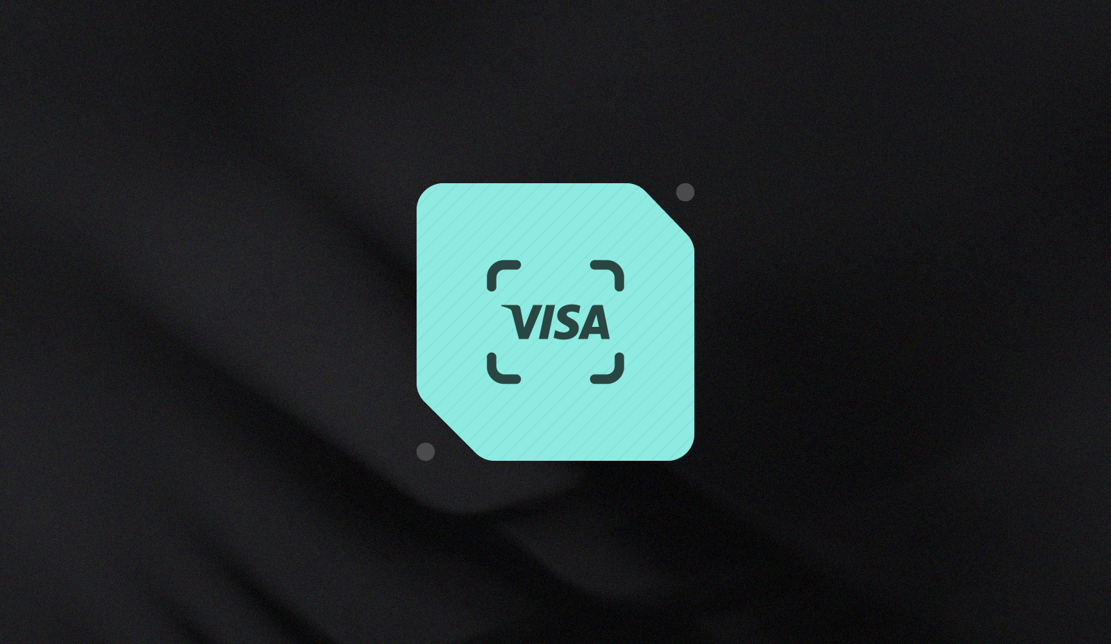 Visa Acquirer Monitoring Program